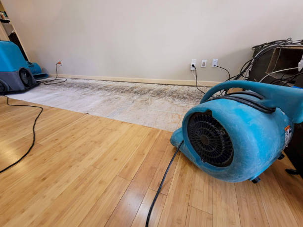 Professional Water Damage Repair technician working in La Push, WA